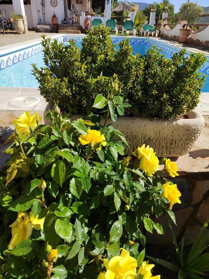 Casa La Serena Casa vacanze